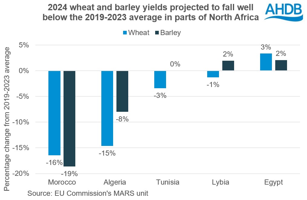 Chart of 2024 wheat and barley yield projections in North Africa comapred to the 2019-2023 average